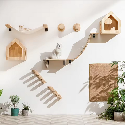 Cat Climbing Shelf Wall Mounted
